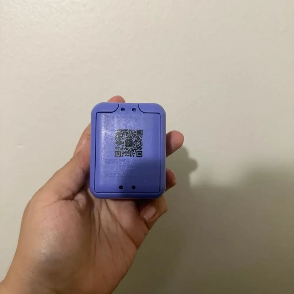 Bitzee, Interactive Toy Digital Pet dog?